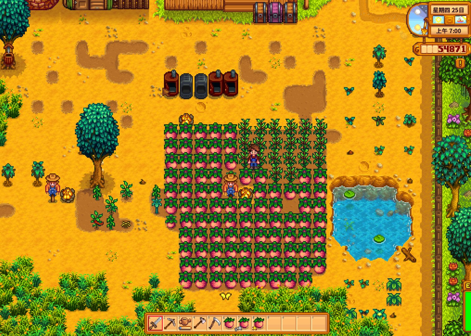 只狼：影逝二度 重制版 截图16