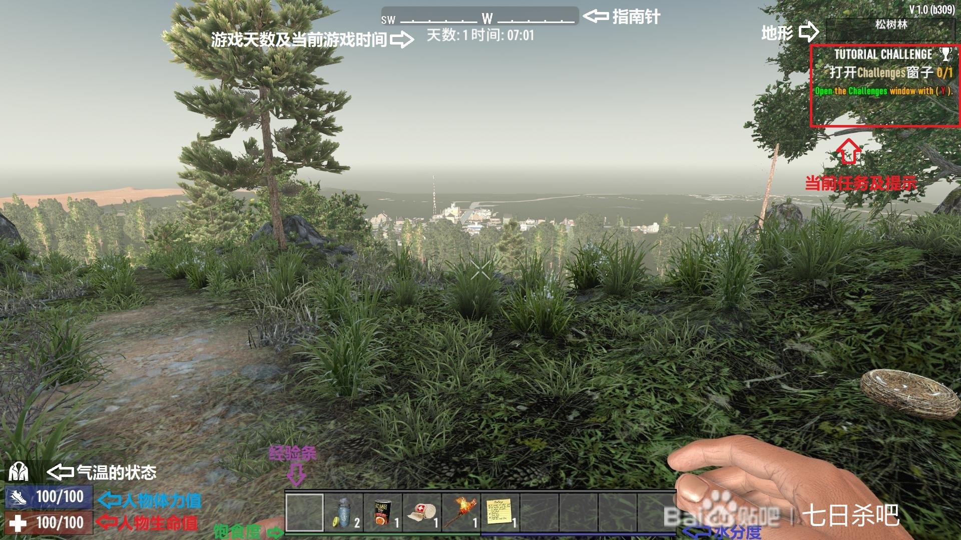 瓦尔海姆 豪华版 截图8